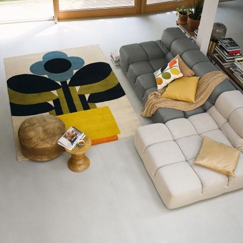 Rugs Rugs