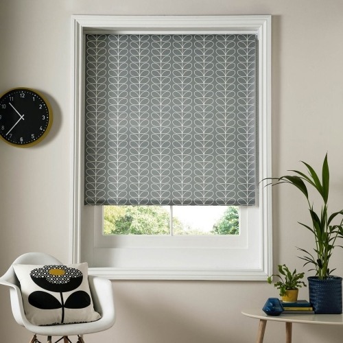 Blinds Blinds