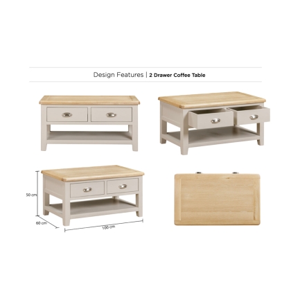 Windermere Painted Oyster Grey Oak 2 Drawer Coffee Table