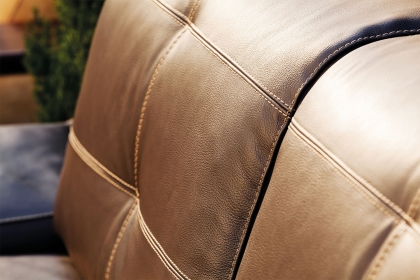 Staingard Upholstery Leather Care Kit Staingard Upholstery Leather Care Kit
