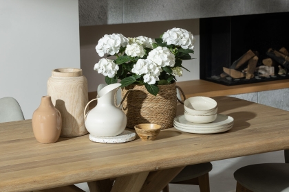Flynn Natural Oak 200cm Star Base Dining Table Set Inc 180cm Bench & 4 Spencer Chairs Flynn Natural Oak 200cm Star Base Dining Table Set Inc 180cm Bench & 4 Spencer Chairs