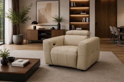 Monaco Arm Chair with Power Recliner and Headrest