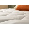 Silentnight Bloom Plant Based Slimline Premium Base Divan Bed Silentnight Bloom Plant Based Slimline Premium Base Divan Bed