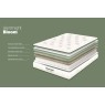 Silentnight Bloom Plant Based Mattress Silentnight Bloom Plant Based Mattress