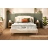 Silentnight Botanic Plant Based Slimline Premium Base Divan Bed Silentnight Botanic Plant Based Slimline Premium Base Divan Bed