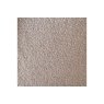 Tarnby Taupe Sample