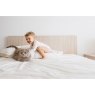 Staingard Bed Care Kit Staingard Bed Care Kit