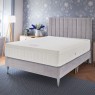Kaymed Therma Phase Ultra Paradise 1200 Platform Top Tapered Leg Bed Kaymed Therma Phase Ultra Paradise 1200 Platform Top Tapered Leg Bed