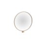 Lily Painted Mahogany Gallery Mirror Lily Painted Mahogany Gallery Mirror