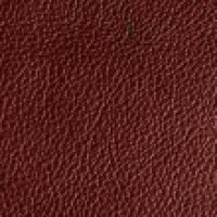 chestnut swatch