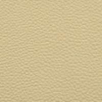 ivory swatch