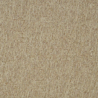 Lucia Camel