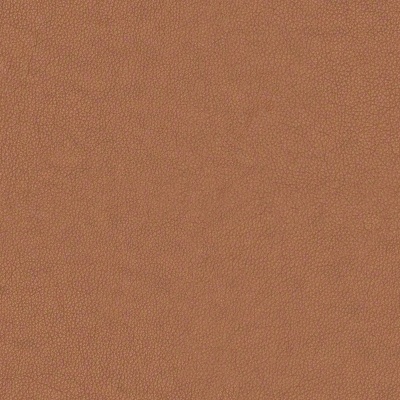 N001 Texas Tan