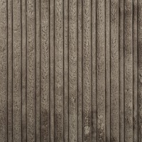 Cord Mink
