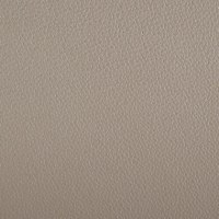 P219 Capri Putty