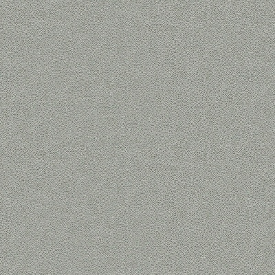 A124 Stingray Charcoal