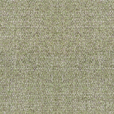 W122 Speckle Vine