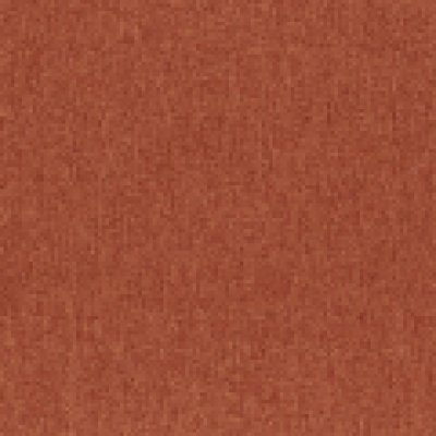 Joshua Burnt Orange
