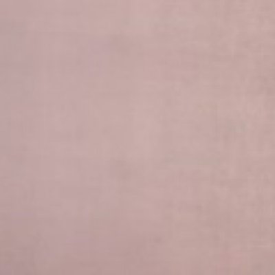 Plush Light Pink