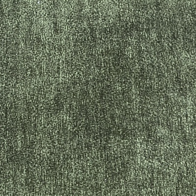 Monde Moss