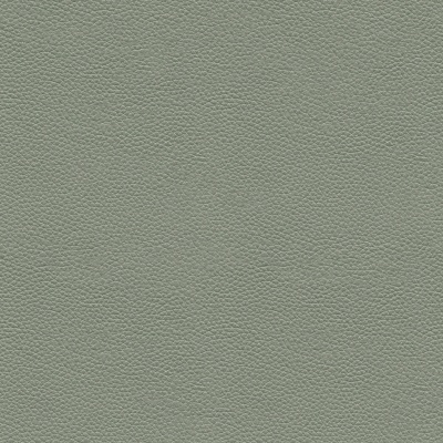 L858 Cambridge Olive
