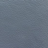 Petrol Blue