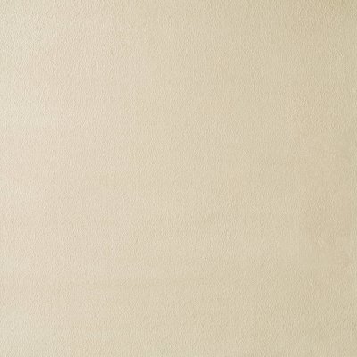 409 Faux Suede Champagne