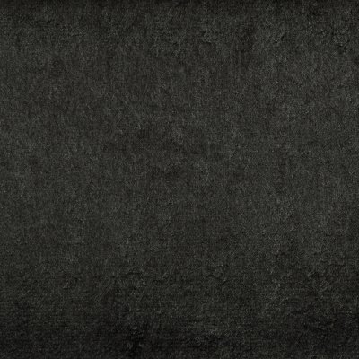 Daytona Coal