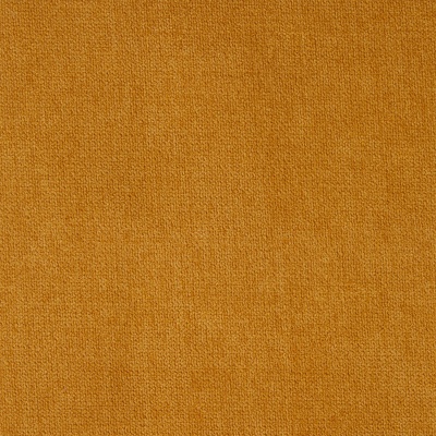 Mustard Venice