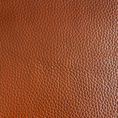 Saddle