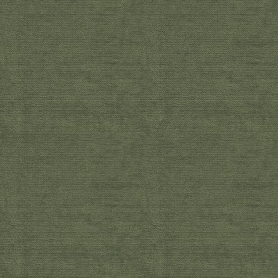 B281 Liso Kelp