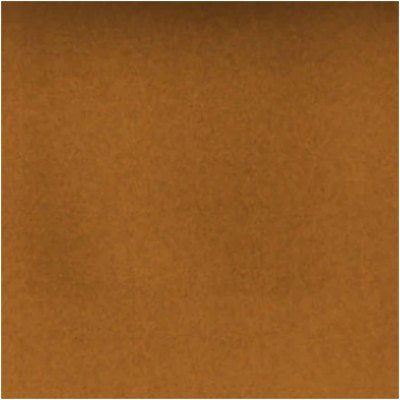 Arlington Apricot