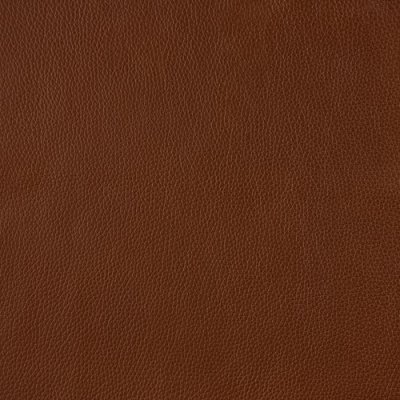 Calda Chestnut