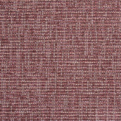Eden Mauve