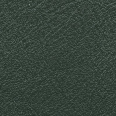 Lena Bottle Green