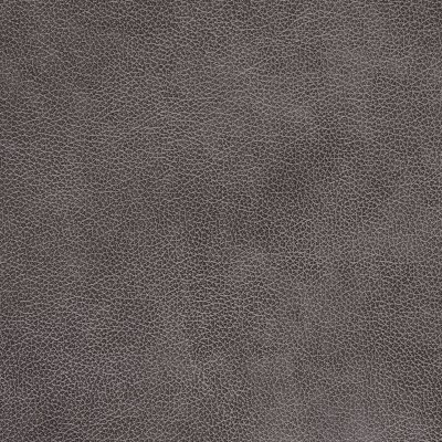 Salento Graphite