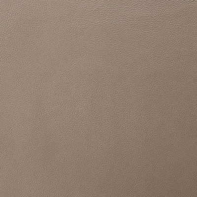 2518 Truffle