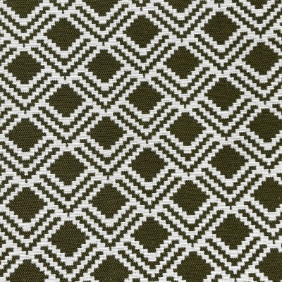 Dolimo Olive