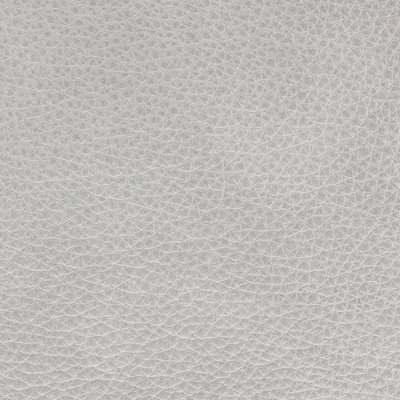 Eleganza Coala