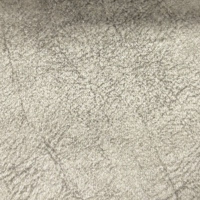 Dapple Silver