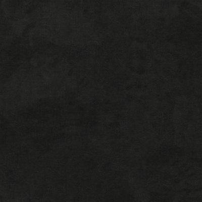 Daytona Coal