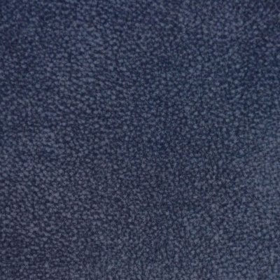 Dexter Navy