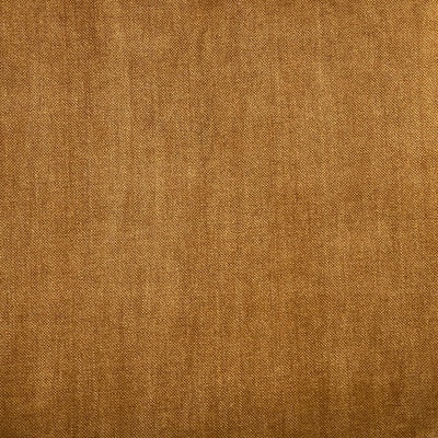 Manolo Cinnamon