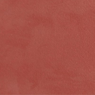 Luxury Atlas Coral
