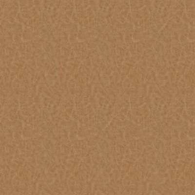 Atacama Nutmeg
