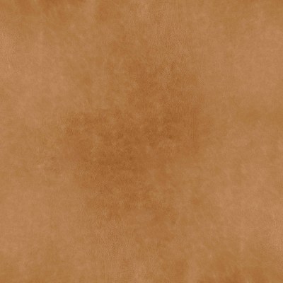 Saddler Tan