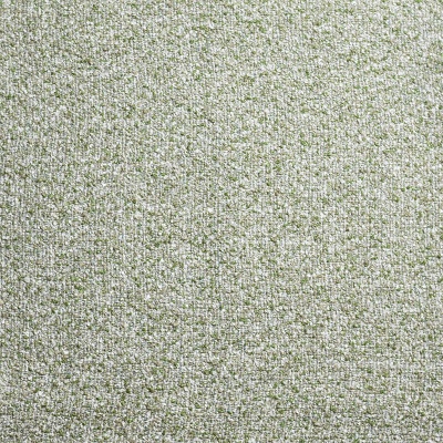 Chunky Boucle Fern