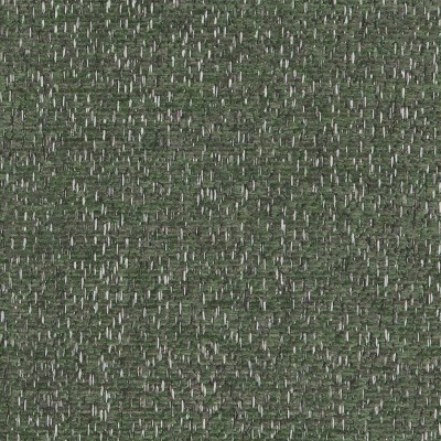 B107 Tela Kelp