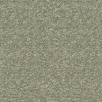 B205 Velloso Kelp