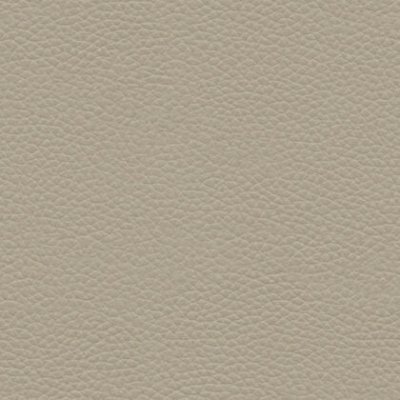 H001 Oxford Mushroom